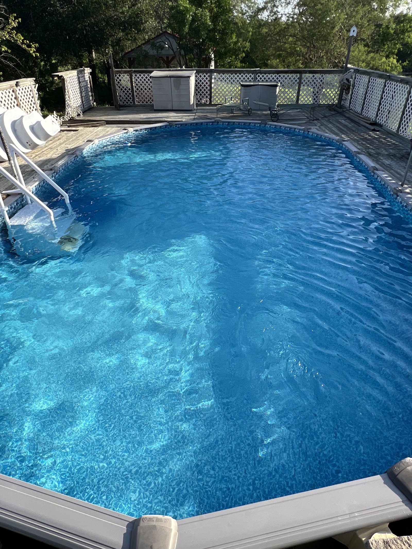Green pool recovery on Blanco Road